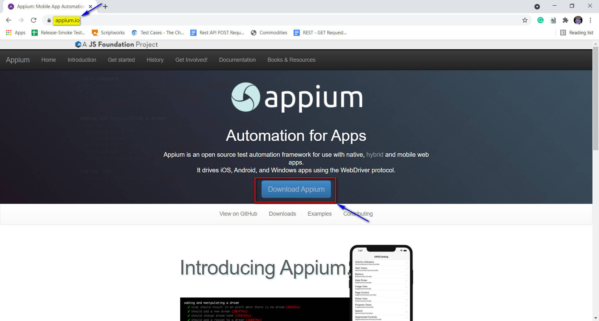 click on download appium button